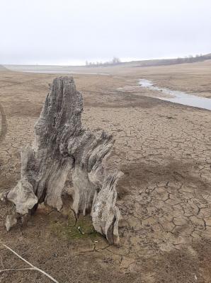 Прикрепленное изображение: 130702751_2305524889580580_6058393678198015477_o.jpg